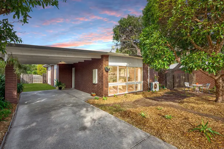 Main view of Homely house listing, 13 Cootamundra Avenue, Capel Sound VIC 3940
