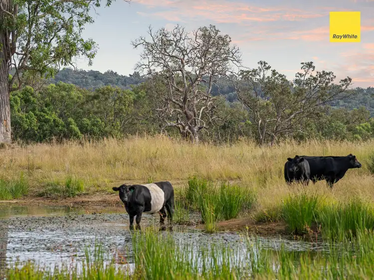 559 Rifle Range Road, Inverell NSW 2360