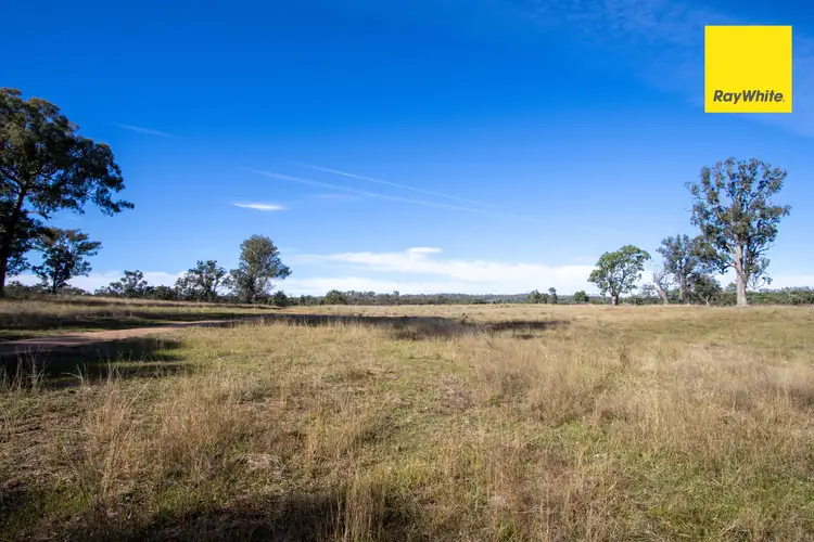 Seventh view of Homely rural property listing, 559 Rifle Range Road, Inverell NSW 2360