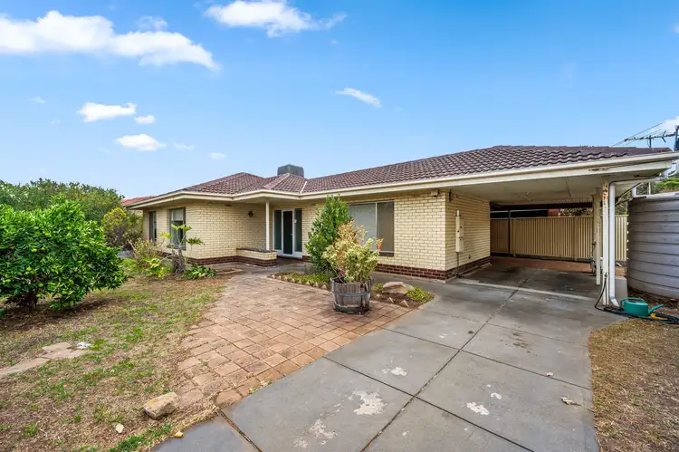 22 Nixon Street, Marion SA 5043