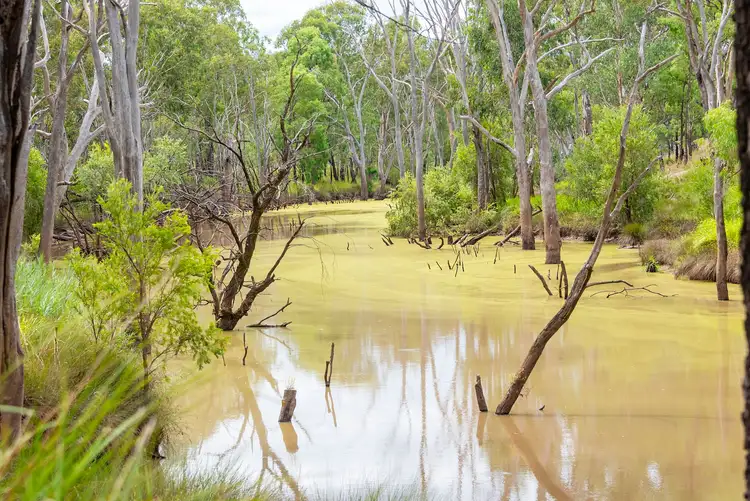 Fifth view of Homely rural property listing, 127 Butlers Road, Miles QLD 4415