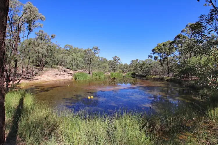 Third view of Homely rural property listing, "Alaire" 161 Alaire Drive, Isla QLD 4719