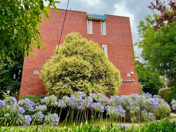 Main view of Homely apartment listing, 8/5 James Street, Box Hill VIC 3128