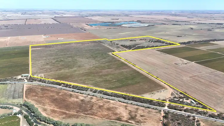 Second view of Homely rural property listing, 595 Woorinen Road, Swan Hill VIC 3585