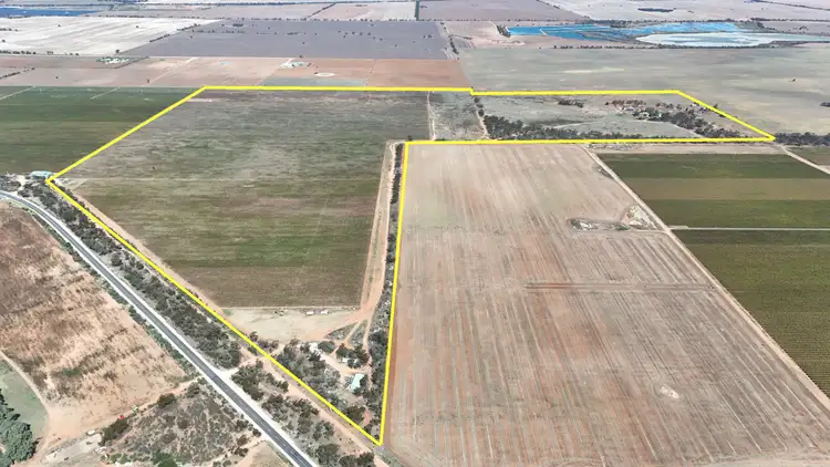Third view of Homely rural property listing, 595 Woorinen Road, Swan Hill VIC 3585