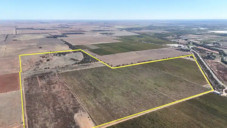 Fourth view of Homely rural property listing, 595 Woorinen Road, Swan Hill VIC 3585