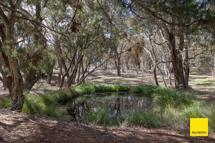 Fourth view of Homely land listing, 14 Bankers Road, Bywong NSW 2621