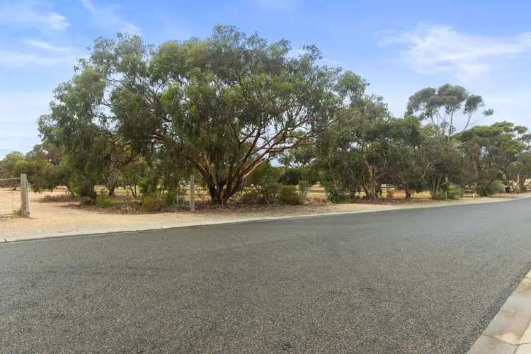 Third view of Homely house listing, 8 Golf Terrace, Ardrossan SA 5571