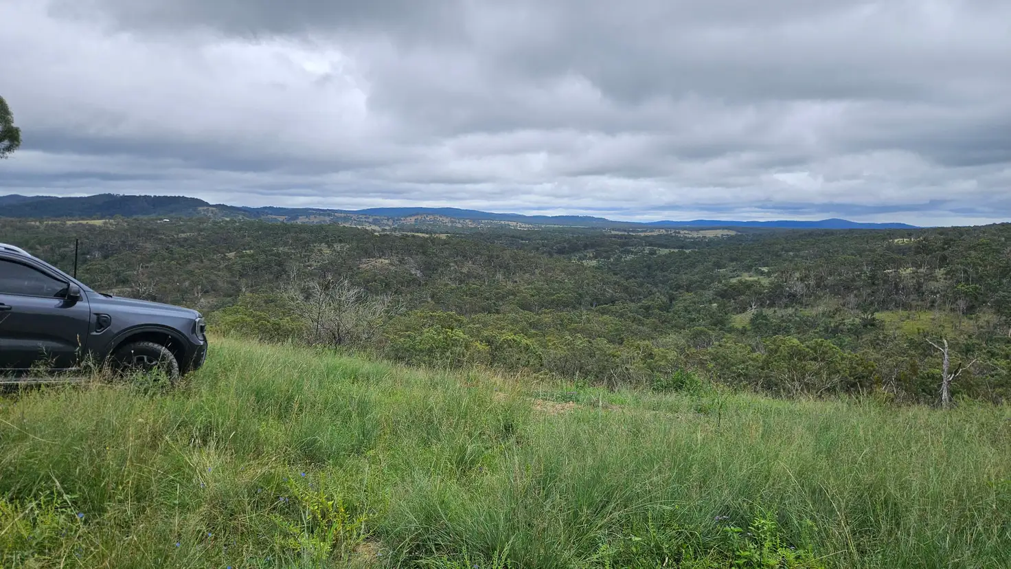 Main view of Homely rural property listing, 7877AB Mount Lindesay Road, Legume NSW 2476