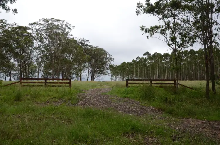 Second view of Homely rural property listing, 7877AB Mount Lindesay Road, Legume NSW 2476