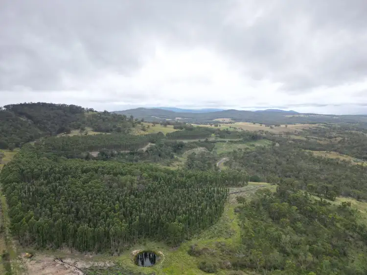 Third view of Homely rural property listing, 7877AB Mount Lindesay Road, Legume NSW 2476