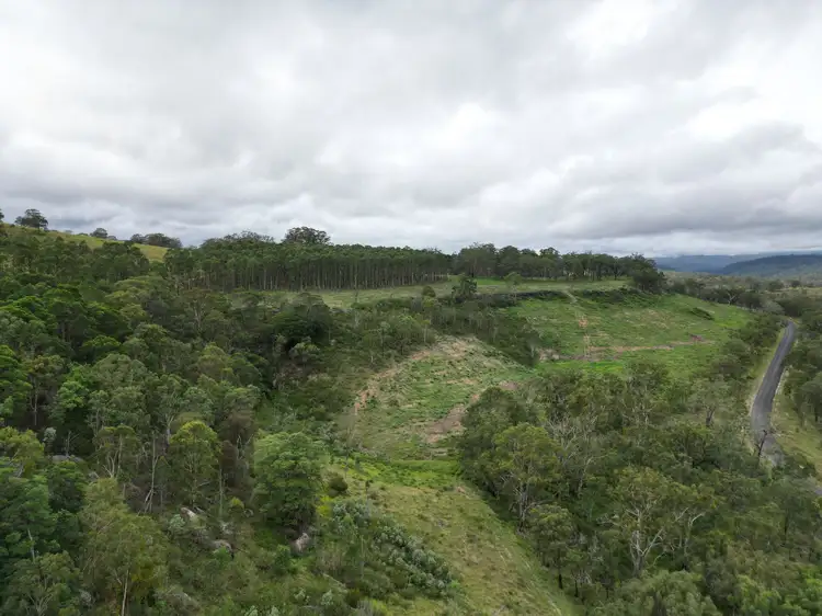 Fifth view of Homely rural property listing, 7877AB Mount Lindesay Road, Legume NSW 2476