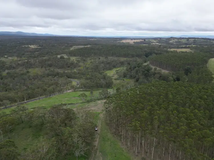 Seventh view of Homely rural property listing, 7877AB Mount Lindesay Road, Legume NSW 2476