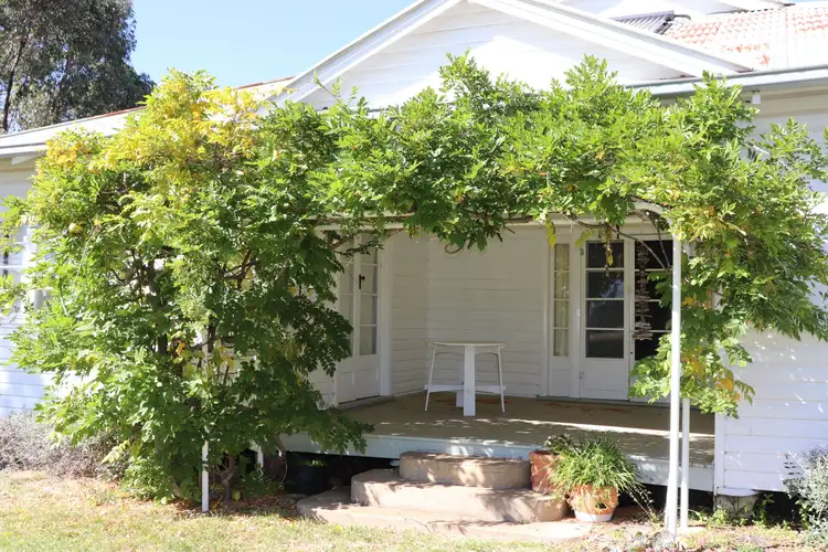 Second view of Homely house listing, 43 Camerons Road, Matheson NSW 2370