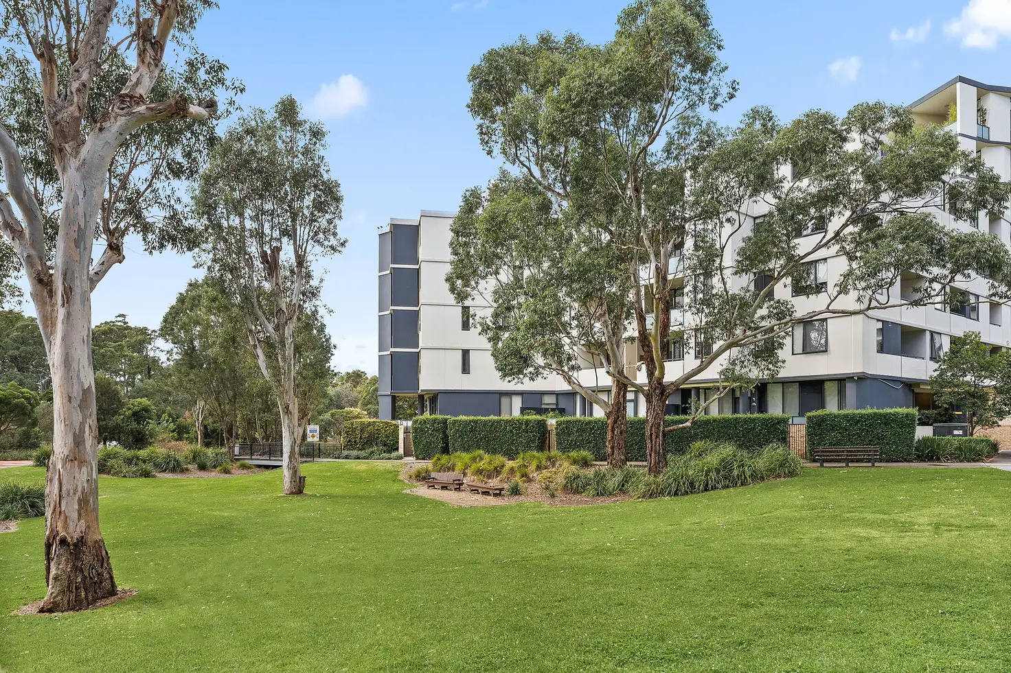 Main view of Homely apartment listing, 205/5 Vermont Crescent, Riverwood NSW 2210