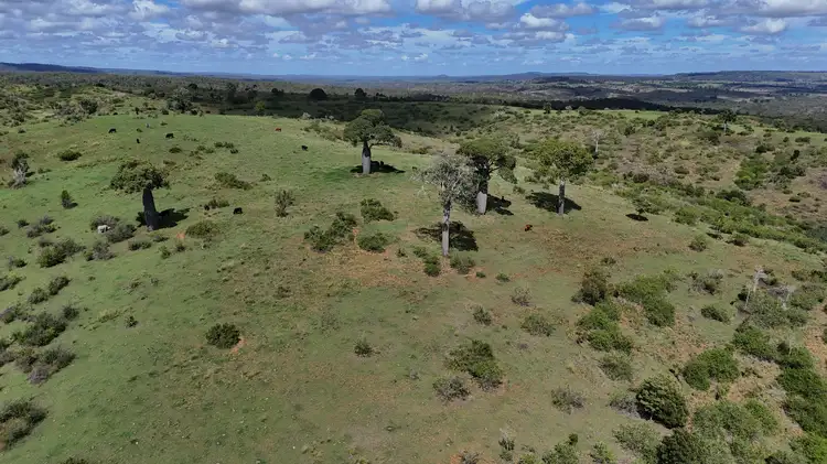 Fourth view of Homely rural property listing, 594 Tellebang Road, Monto QLD 4630