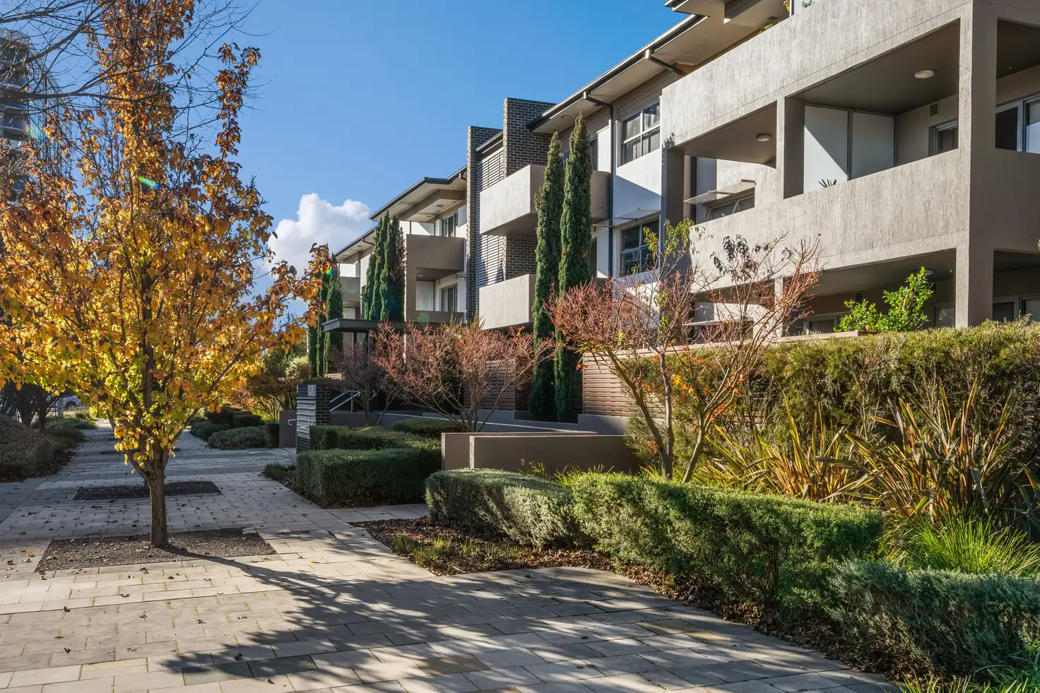 Main view of Homely apartment listing, 127/121 Easty Street, Phillip ACT 2606