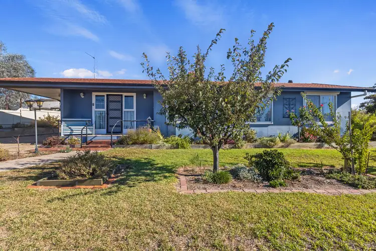 Main view of Homely house listing, 24 Second Street, Tickera SA 5555