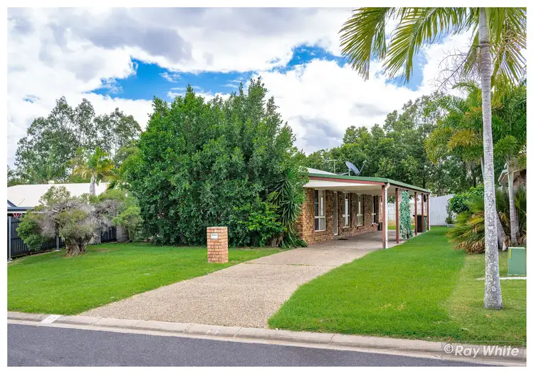 17 Protea Avenue, Norman Gardens QLD 4701