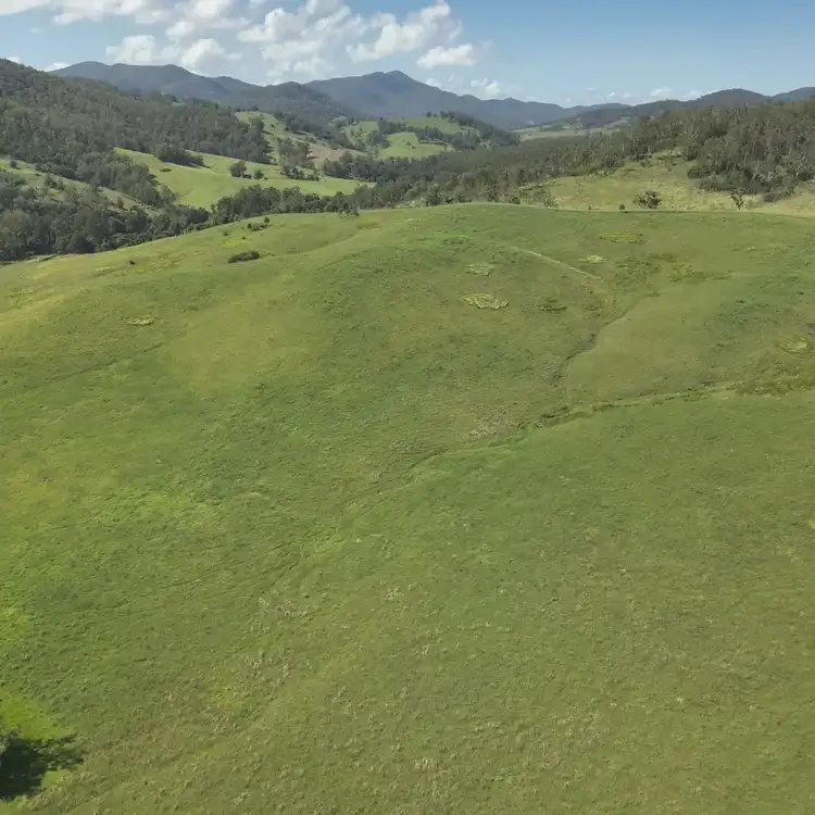 Fifth view of Homely rural property listing, 128 Cells Road, Number One NSW 2424
