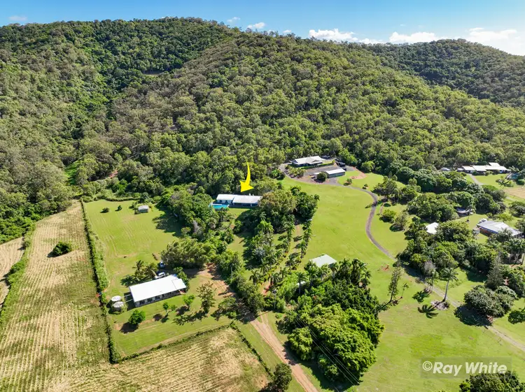 Main view of Homely rural property listing, 43 Howes Road, Farnborough QLD 4703