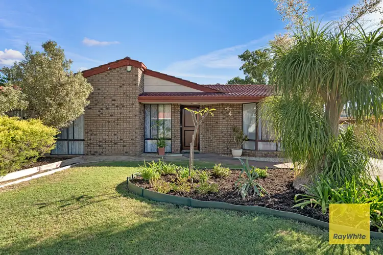 Main view of Homely house listing, 4 Crucis Close, Mirrabooka WA 6061