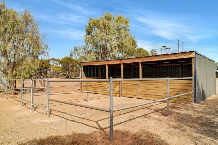Third view of Homely rural property listing, 153 Water Tank Road, Owen SA 5460