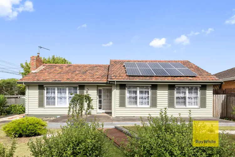 41 Torquay Road, Belmont VIC 3216