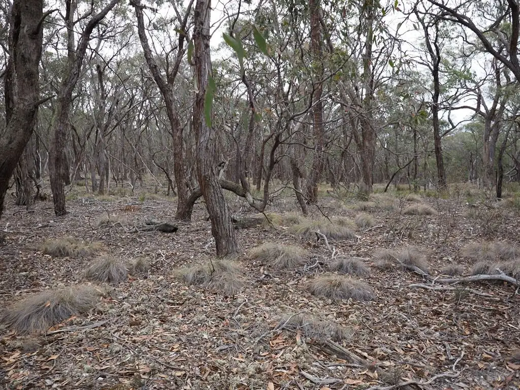 Main view of Homely land listing, Lot One Grampians View Road, Beaufort VIC 3373