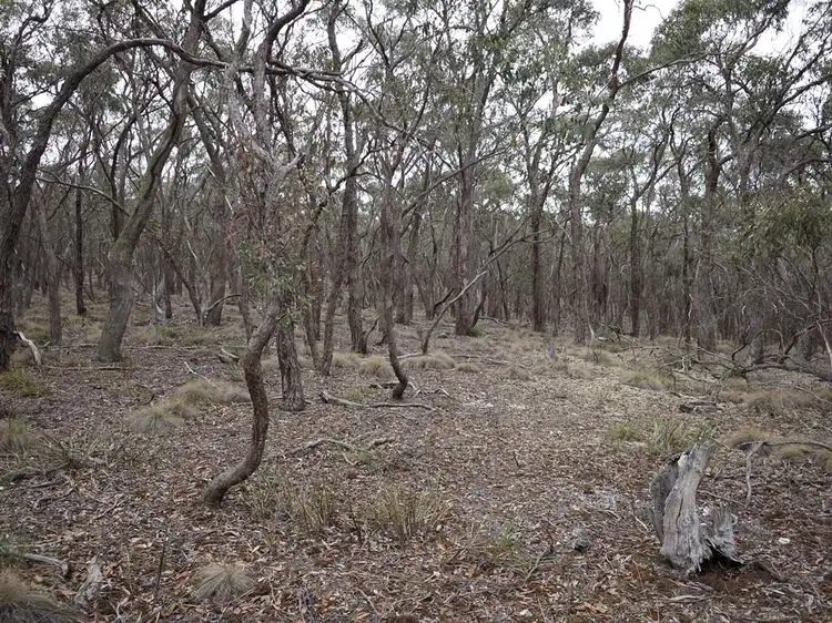 Second view of Homely land listing, Lot One Grampians View Road, Beaufort VIC 3373