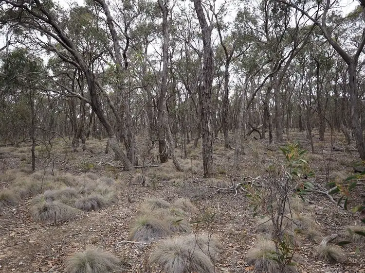 Third view of Homely land listing, Lot One Grampians View Road, Beaufort VIC 3373