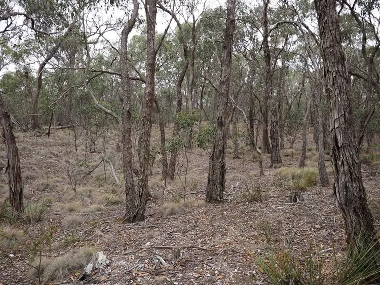 Fourth view of Homely land listing, Lot One Grampians View Road, Beaufort VIC 3373
