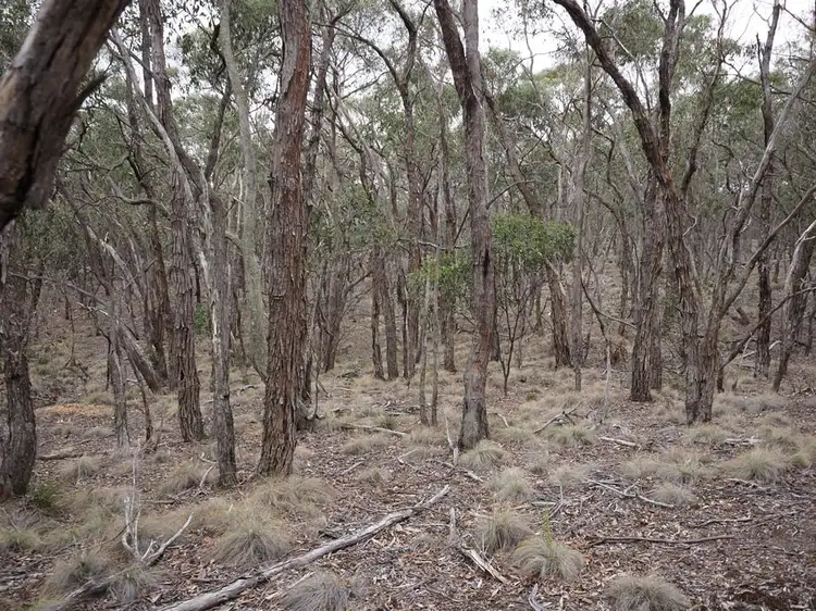 Fifth view of Homely land listing, Lot One Grampians View Road, Beaufort VIC 3373