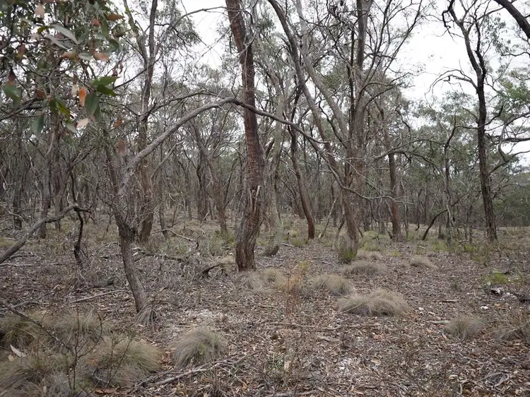 Sixth view of Homely land listing, Lot One Grampians View Road, Beaufort VIC 3373