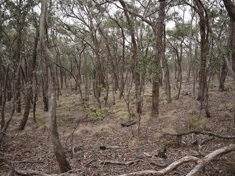 Seventh view of Homely land listing, Lot One Grampians View Road, Beaufort VIC 3373