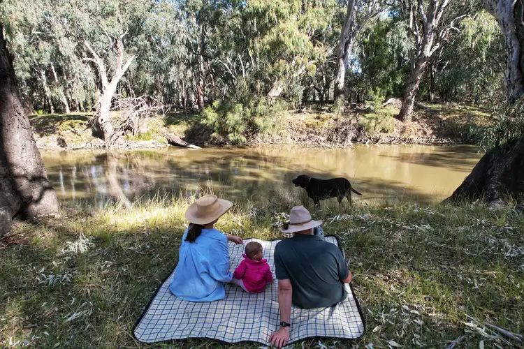 1655 Kiacatoo Road, Condobolin NSW 2877