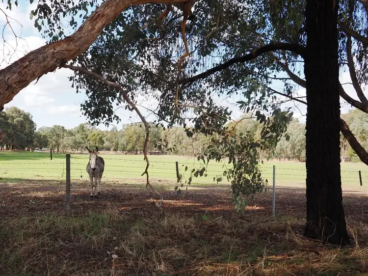CA 7-10 Ennis Street, Amphitheatre VIC 3468