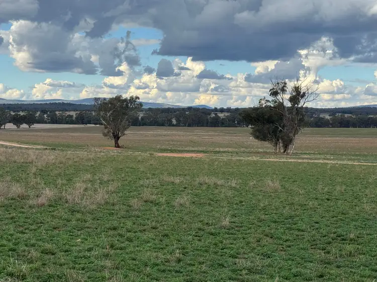 'Woodbine Park' 397 Mugincoble Lane, Parkes NSW 2870