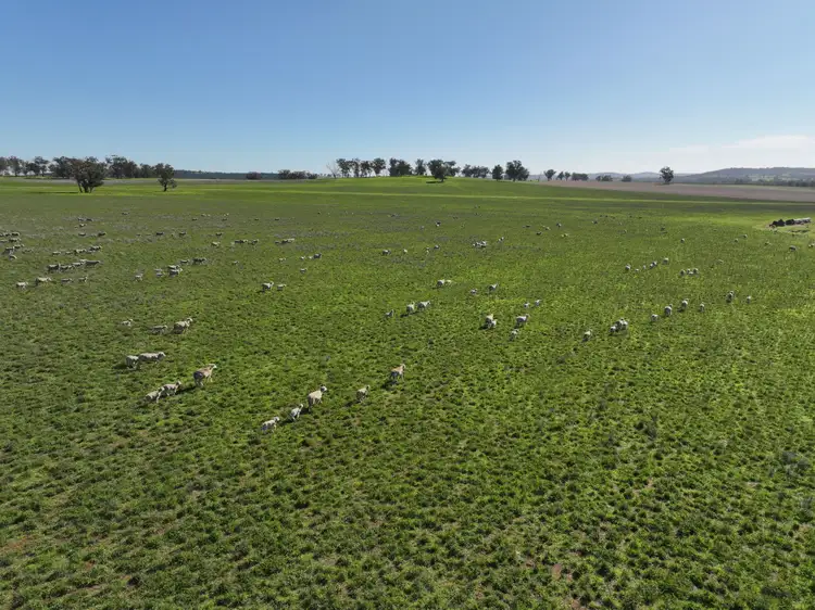 'Woodbine Park' 397 Mugincoble Lane, Parkes NSW 2870