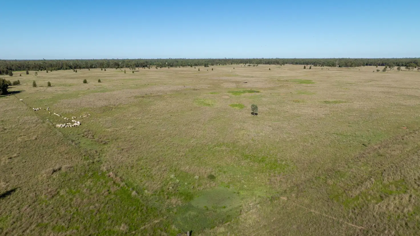 Main view of Homely rural property listing, 2102 Wyaga Road, Goondiwindi QLD 4390