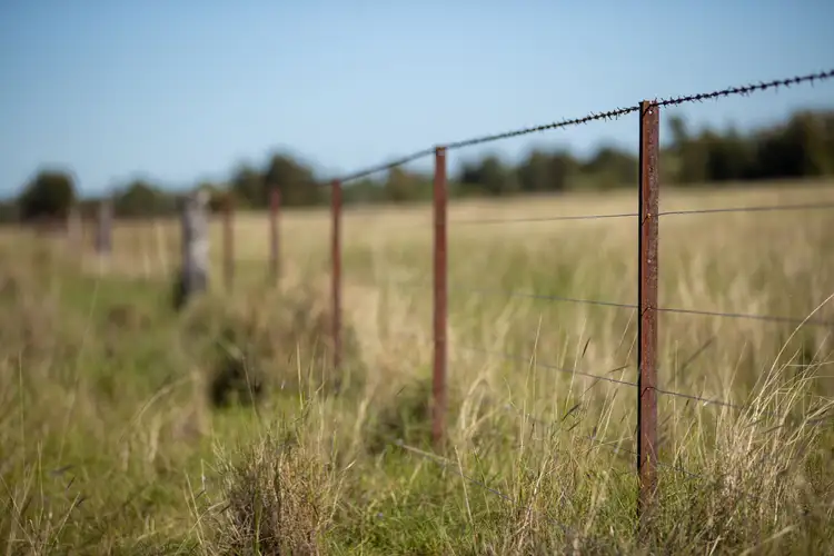Seventh view of Homely rural property listing, 2102 Wyaga Road, Goondiwindi QLD 4390