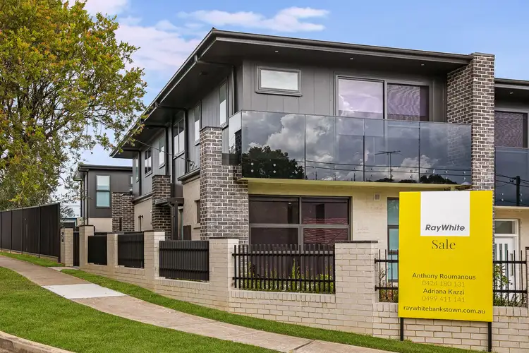 18 Frank Street, Mount Lewis NSW 2190
