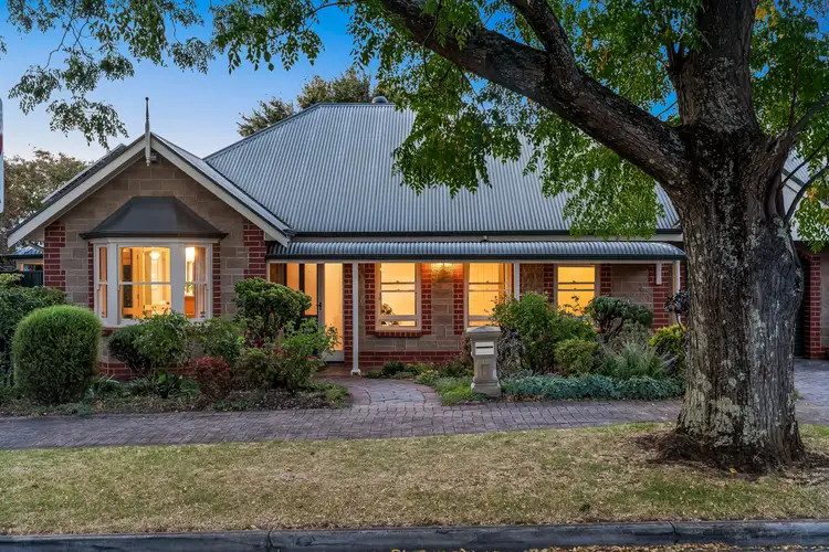 13 Cotham Avenue, Kensington Park SA 5068