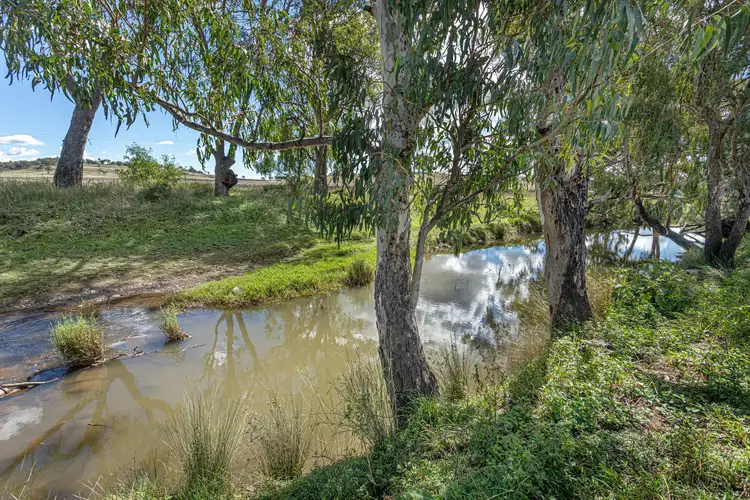 Third view of Homely rural property listing, "Camden" 334 Kelvinhaugh-Yalangur Road, Yalangur QLD 4352