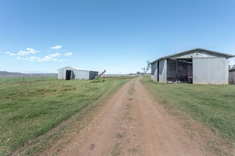 Seventh view of Homely rural property listing, "Camden" 334 Kelvinhaugh-Yalangur Road, Yalangur QLD 4352