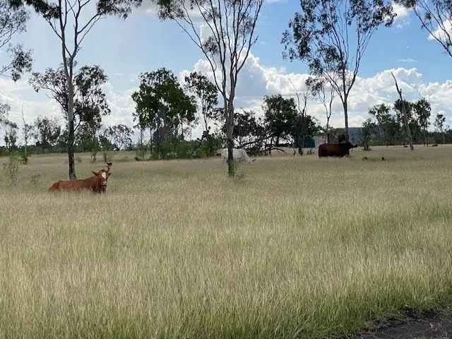 51 Spring Creek Road,, Wycarbah QLD 4702