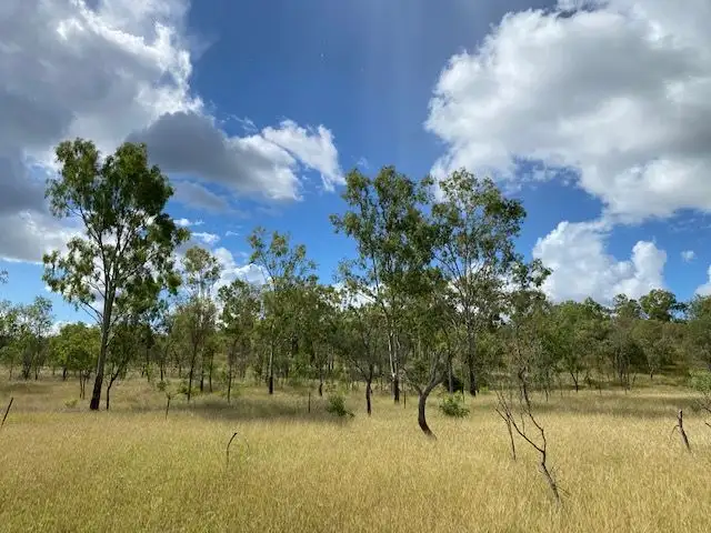 Second view of Homely rural property listing, 51 Spring Creek Road,, Wycarbah QLD 4702