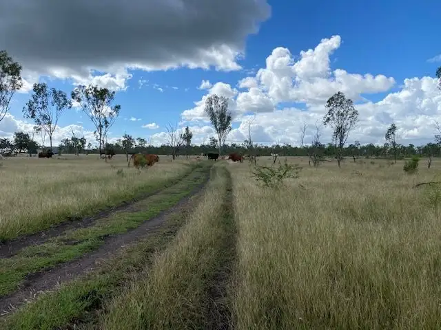 Sixth view of Homely rural property listing, 51 Spring Creek Road,, Wycarbah QLD 4702