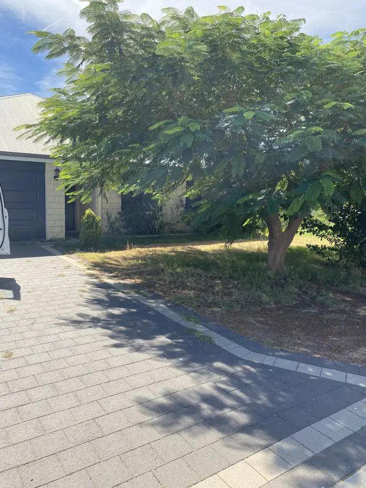 19 Donegal Street, Utakarra WA 6530