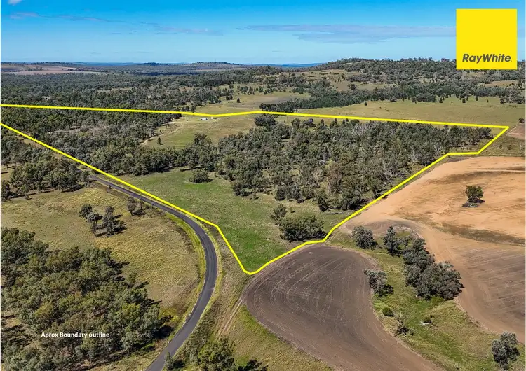 Main view of Homely rural property listing, 671 Oregon Road, Warialda NSW 2402